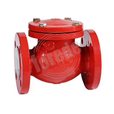 Katup Periksa Swing SS